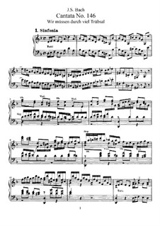 Wir müssen durch viel Trübsal, BWV 146: Piano-vocal score by Иоганн Себастьян Бах