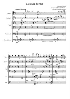 Turandot: Nessun dorma, for string orchestra by Джакомо Пуччини