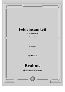 Шесть песен, Op.86: No.2 Feldeinsamkeit (In Summer Fields) by Иоганнес Брамс