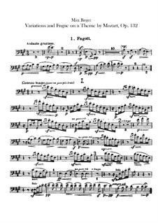 Вариации и Фуга на тему Моцарта для оркестра, Op.132: Партии первого и второго фаготов by Макс Регер