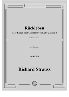 No.3 Rückleben: B flat minor by Рихард Штраус