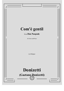 Дон Паскуале: Come gentil la notte a mezzo april by Гаэтано Доницетти