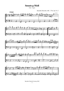 Двенадцать сонат для флейты и басо континуо, Op.2: Sonata No.3 in G Minor, for flute and bassoon by Бенедетто Марчелло