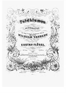 Feldblumen, Op.29: Feldblumen by Густав Флюгель