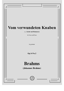 Романсы и песни, Op.14: No.2 Vom verwundeten Knaben (About the Wounded Boys) by Иоганнес Брамс