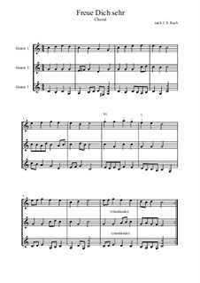 Choral (Freue dich sehr): Choral (Freue dich sehr) by Иоганн Себастьян Бах