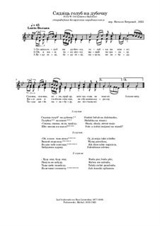 Cядзiць голуб на дубочку: Cядзiць голуб на дубочку by folklore