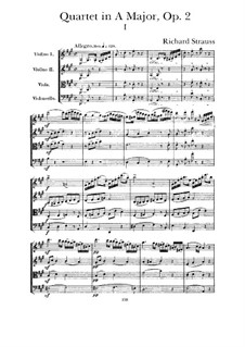 Quartet in A Major, Op.2: Quartet in A Major by Рихард Штраус