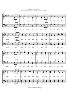 Winterreise, Nr.73-105, Op.23: Nr.104 Verstarring by Werner Schneider-Wiegand