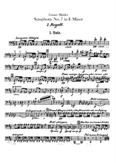 Симфония No.7 ми минор: Партии первого и второго фаготов by Густав Малер