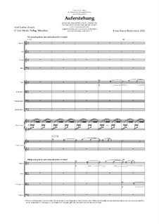 Auferstehung: Stimmen by Franz Ferdinand Kaern