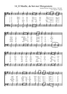 O Maidle, du bist mei Morgenstern: Для мужского хора by Фридрих Зильхер