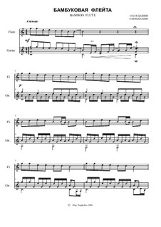 Бамбуковая флейта - ансамбль флейта, гитара: Бамбуковая флейта - ансамбль флейта, гитара by Олег Богдашин
