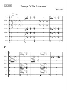 Passage Of The Drummers: Passage Of The Drummers by Devin Pride