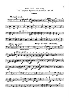 Буря, TH 44 Op.18: Партии ударных инструментов by Петр Чайковский