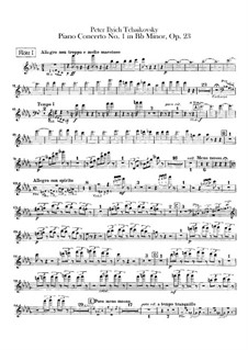 Концерт для фортепиано с оркестром No.1 си-бемоль минор, TH 55 Op.23: Партии флейт by Петр Чайковский