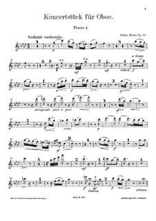 Концертная пьеса для гобоя и оркестра, Op.33: Партии флейт by Юлиус Риц