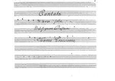 Кантаты для голоса и бассо континуо: Сборник III by Джованни Баттиста Бассани