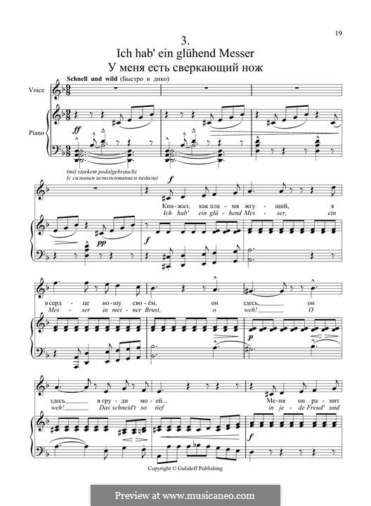 Песни странствующего подмастерья: No.3 Ich hab' ein glühend Messer by Густав Малер