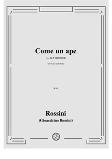 Золушка: Come un ape by Джоаккино Россини