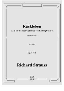 No.3 Rückleben: B minor by Рихард Штраус