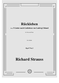No.3 Rückleben: C minor by Рихард Штраус