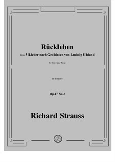 No.3 Rückleben: D minor by Рихард Штраус