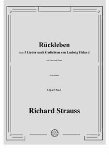 No.3 Rückleben: A minor by Рихард Штраус