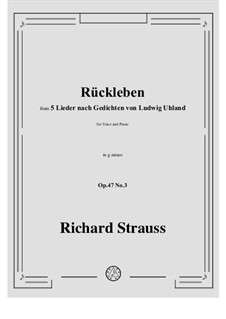 No.3 Rückleben: G minor by Рихард Штраус