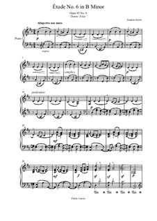 Двадцать пять этюдов, Op.45: Этюд No.6 by Стефан Геллер