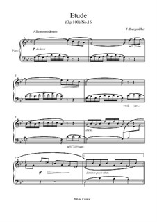 No.16 Douce Plainte (Lamentation): Для фортепиано by Иоганн Фридрих Бургмюллер