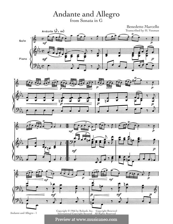 Andante and Allegro: Andante and Allegro by Бенедетто Марчелло