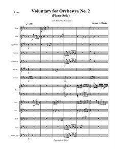 Voluntary for Orchestra No.2 (Piano Solo): Voluntary for Orchestra No.2 (Piano Solo) by Джеймс Бёрк