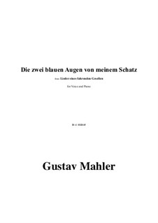 Die zwei blauen Augen von meinem Schatz in e minor: Die zwei blauen Augen von meinem Schatz in e minor by Густав Малер
