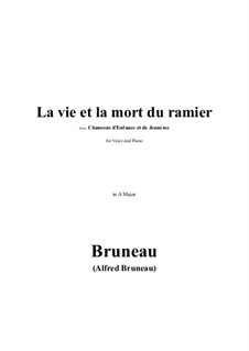 La vie et la mort du ramier in A Major: La vie et la mort du ramier in A Major by Альфред Брюно