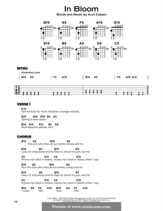 In Bloom (Nirvana): Lyrics and guitar chords by Kurt Cobain