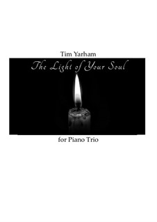 The Light of Your Soul: The Light of Your Soul by Tim Yarham