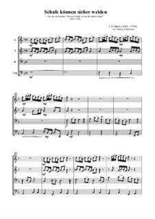 Sheep May Safely Graze: For quartet by Иоганн Себастьян Бах