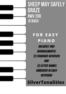 Sheep May Safely Graze: For easy piano sheet music combo by Иоганн Себастьян Бах