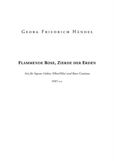 Flammende Rose, Zierde der Erden, HWV 210: Partitur by Георг Фридрих Гендель