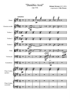 На прекрасном голубом Дунае, Op.314: For chamber orchestra by Иоганн Штраус (младший)