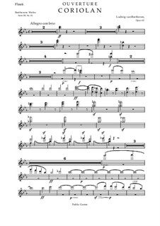 Увертюра Кориолан, Op.62: Партия флейты by Людвиг ван Бетховен