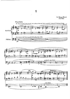 Интерлюдии в разных тональностях для органа: Интерлюдии в разных тональностях для органа by Зигфрид Карг-Элерт