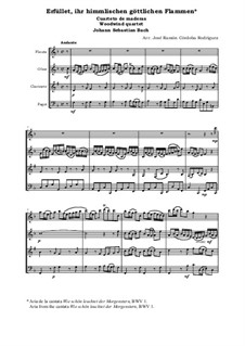 Wie schön leuchtet der Morgenstern, BWV 1: No.3 Erfüllet, ihr himmlischen, göttlichen Flammen. Woodwind quartet by Иоганн Себастьян Бах