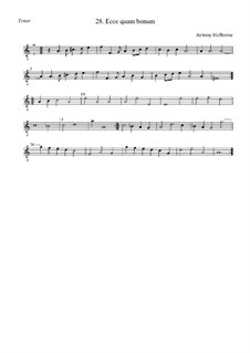 Ecce quam bonum: Тенор by Anthony Holborne