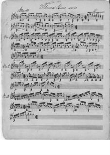 Тема с вариациями для гитары: Тема с вариациями для гитары by Маттео Каркасси