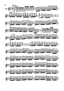 Сорок два этюда или каприса: Этюды No.24-30 by Родольф Крейцер