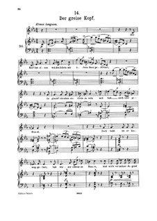No.14 Седины: Клавир с вокальной партией by Франц Шуберт