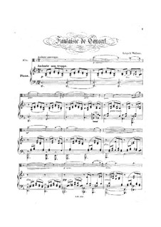 Концертная фантазия: Концертная фантазия by Леопольд Уолнер