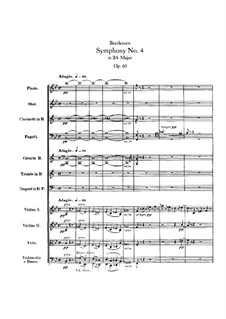 Симфония No.4, Op.60: Часть I by Людвиг ван Бетховен